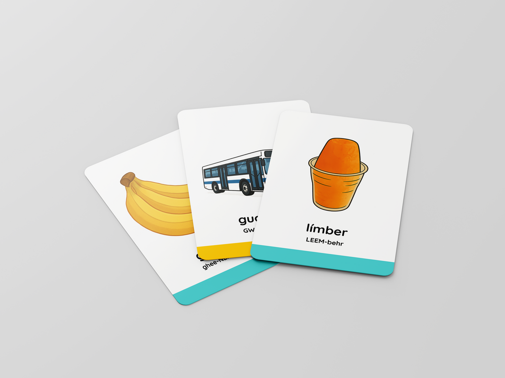 PRE-ORDER Vocabulario Boricua Flashcards